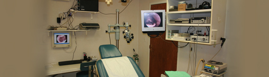 ENT & Allergy Associates, LLC - Ent And Allergy Associates Poughkeepsie Ny