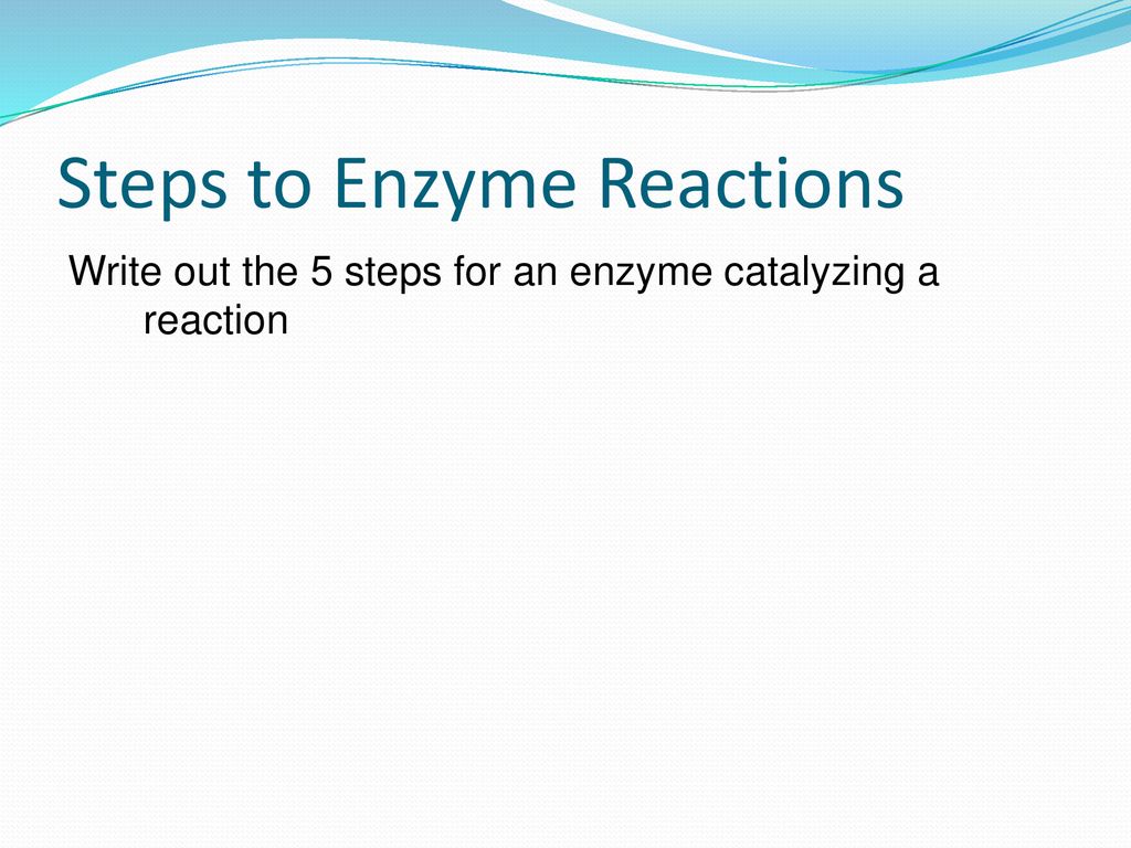 Enzymes pp ppt download - After An Enzyme Reaction Is Completed The Enzyme