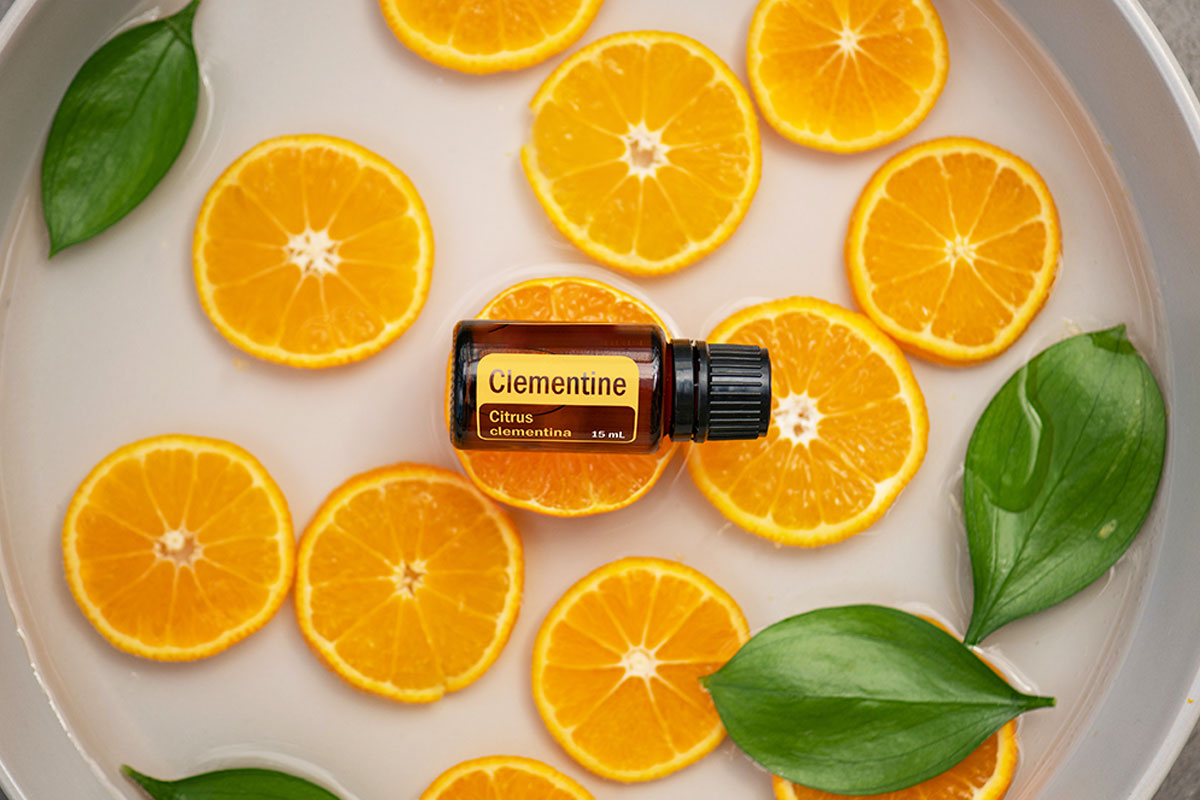 Essential Oils For Focus And Productivity