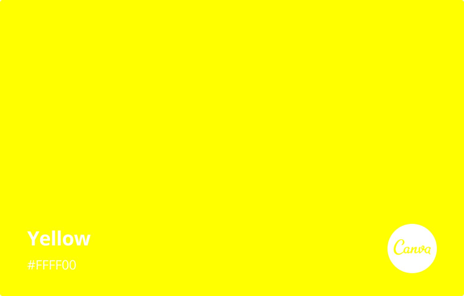 Everything about the color Yellow - Do Yellow Finches Change Color In The Winter