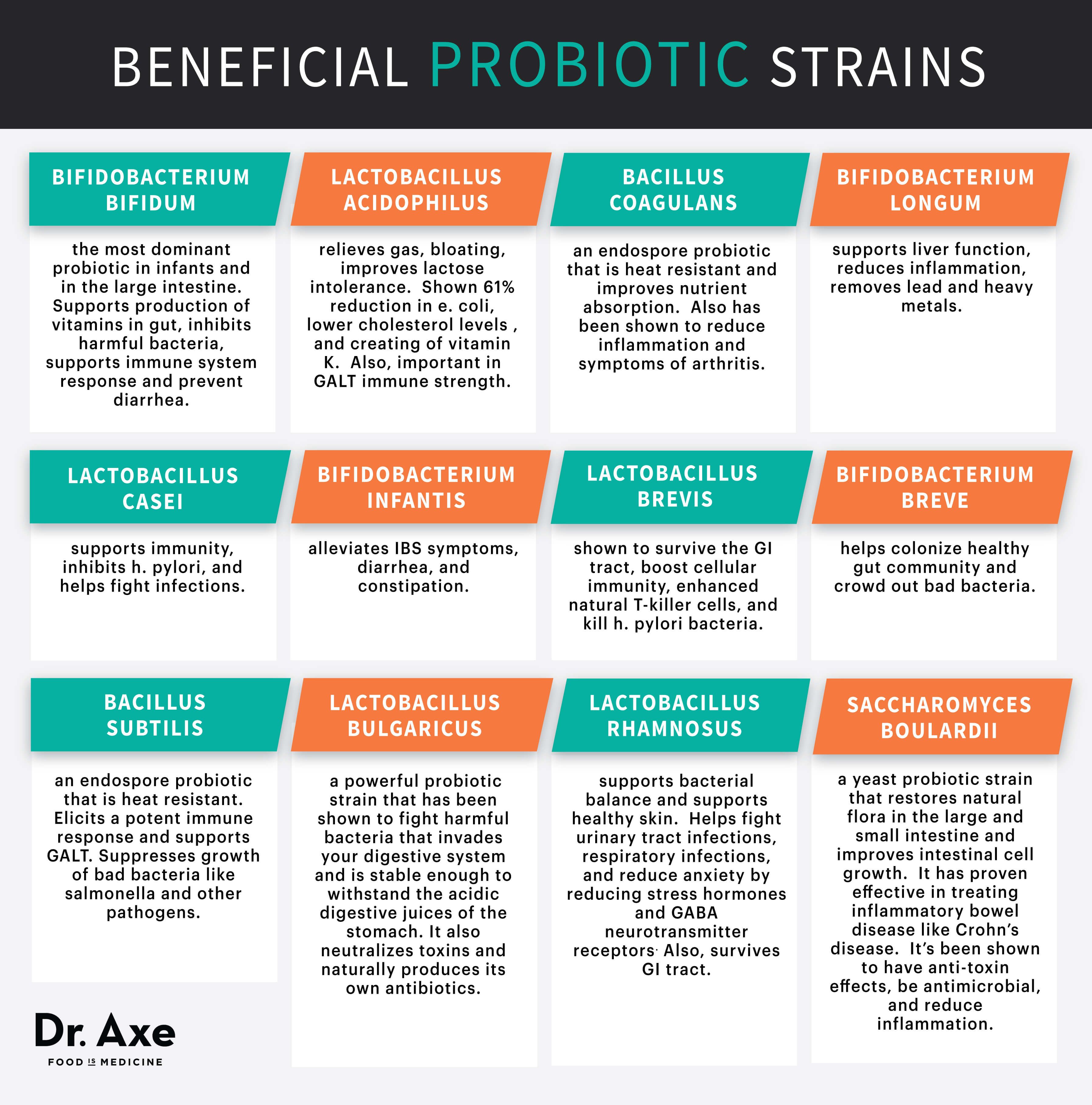 Digestive Enzymes With Probiotics And Prebiotics