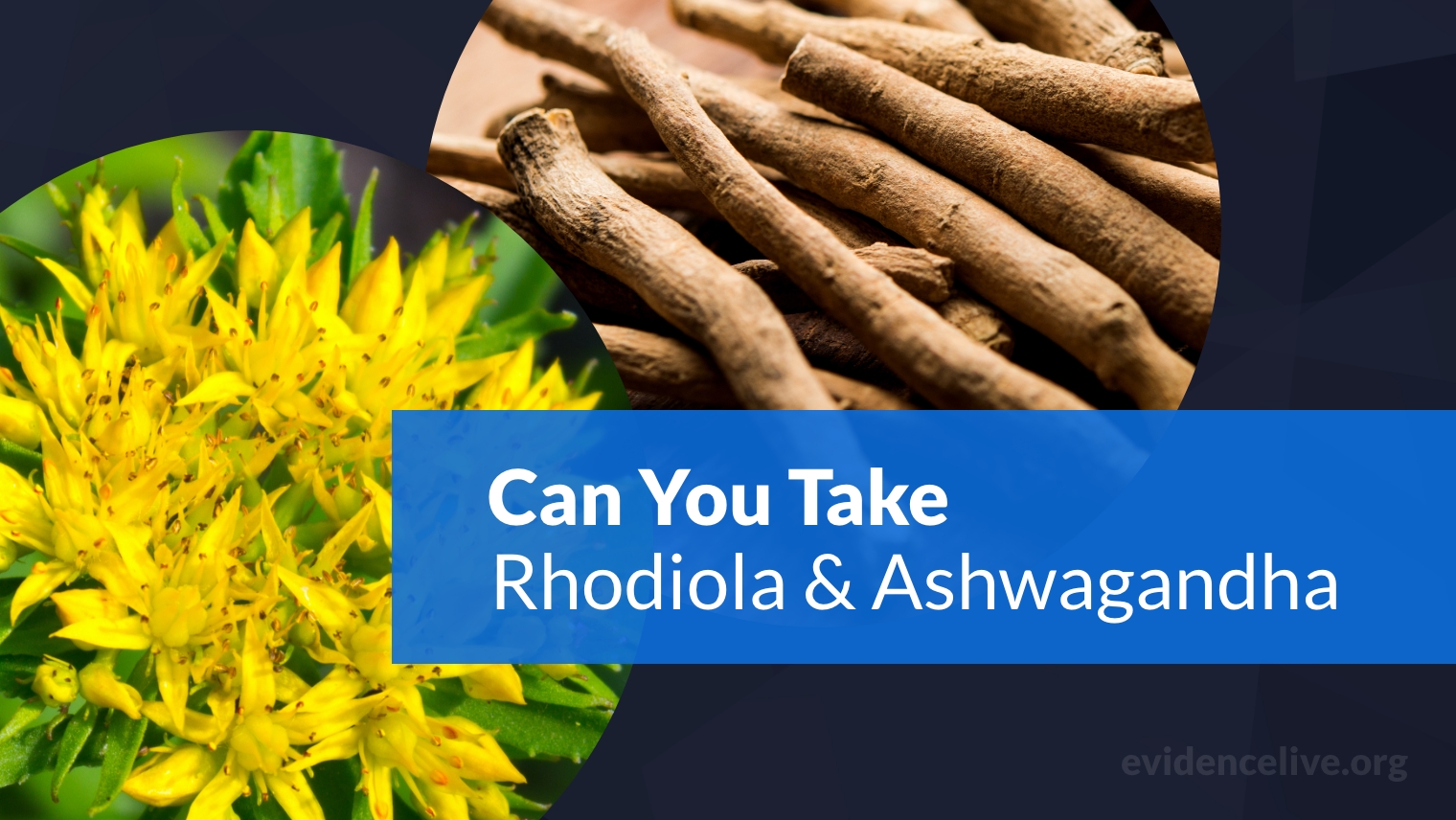 Evidence-Based Medicine for Better Mental Health - EvidenceLive - How To Take Ashwagandha And Rhodiola Together