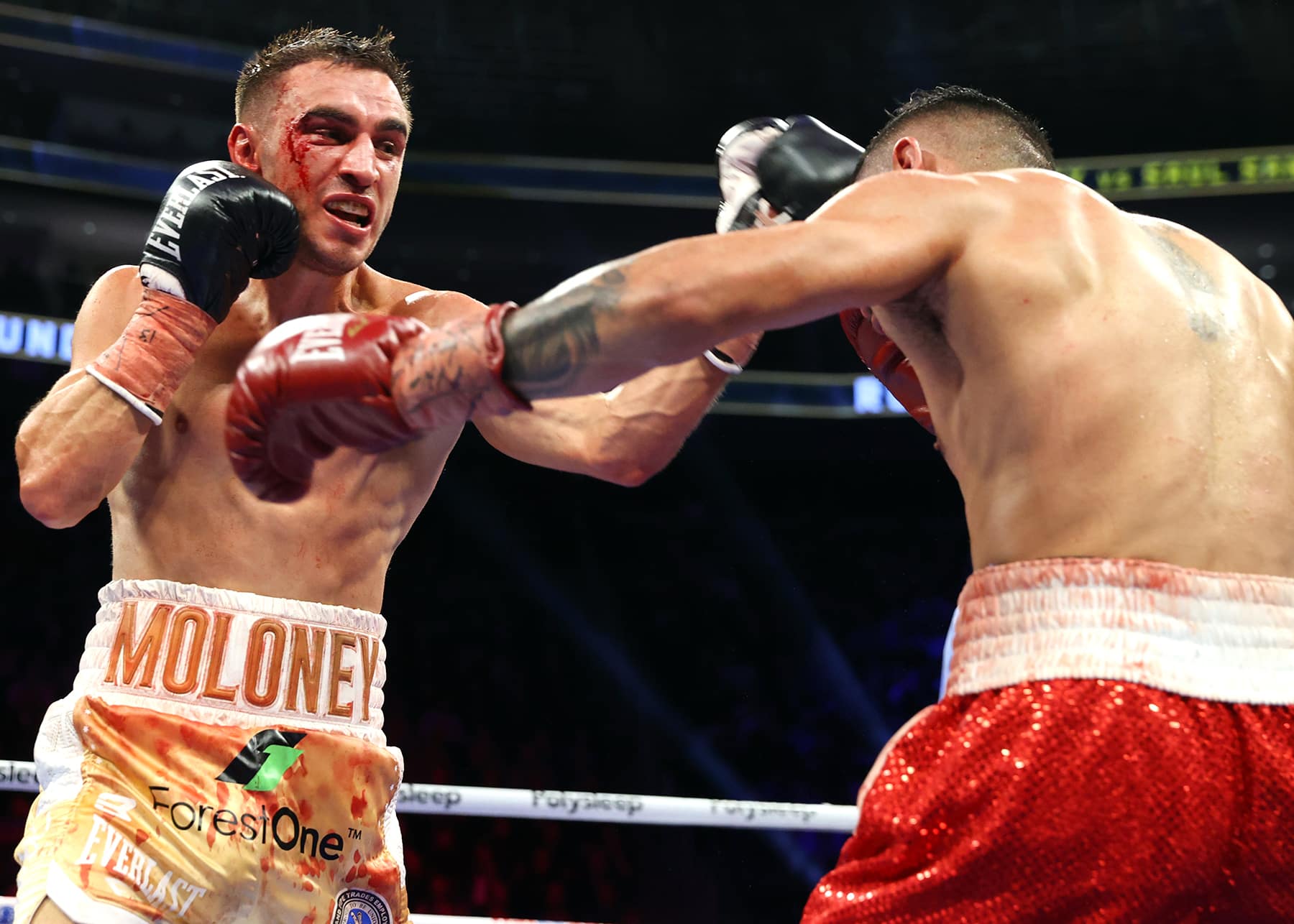 Exclusive: WBO Bantamweight Champion Jason Moloney Primed For Tokyo - Moloney Funeral Home Port Jefferson Station Ny