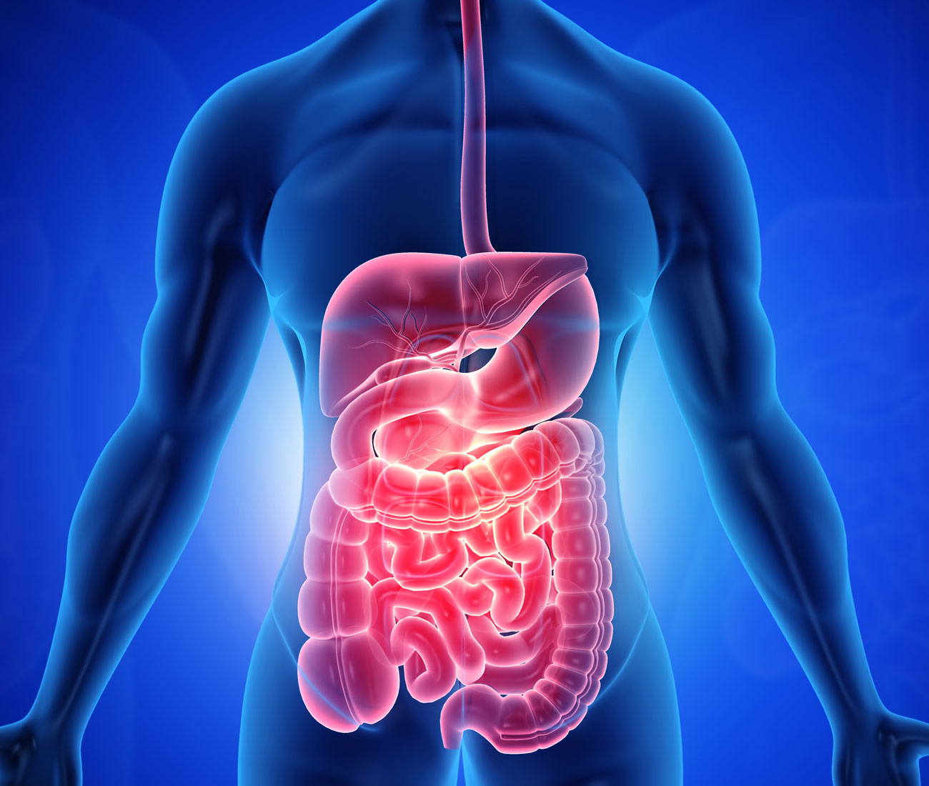 Experienced Gastroenterological Specialists - Gastroenterology Ltd Of Virginia Beach Virginia Beach Va