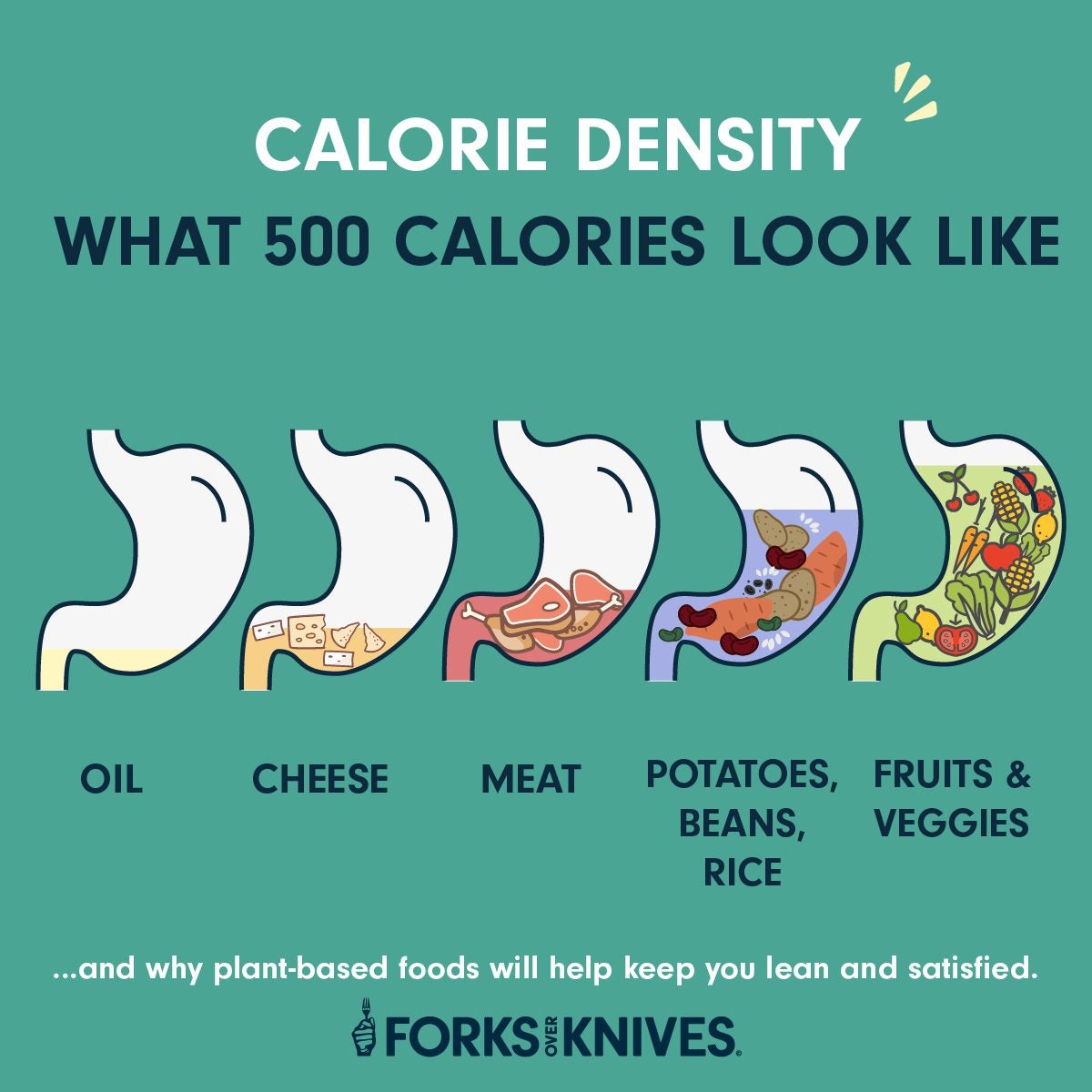 Explain the Difference Between Nutrient-dense Foods and Calorie-dense - Calories In Sunflower Seeds Without Shell