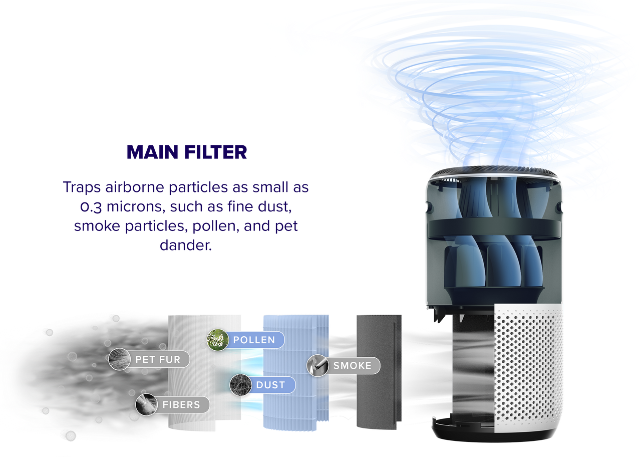 Explore Levoit Air Purifiers - How Often To Replace Air Purifier Filter Levoit