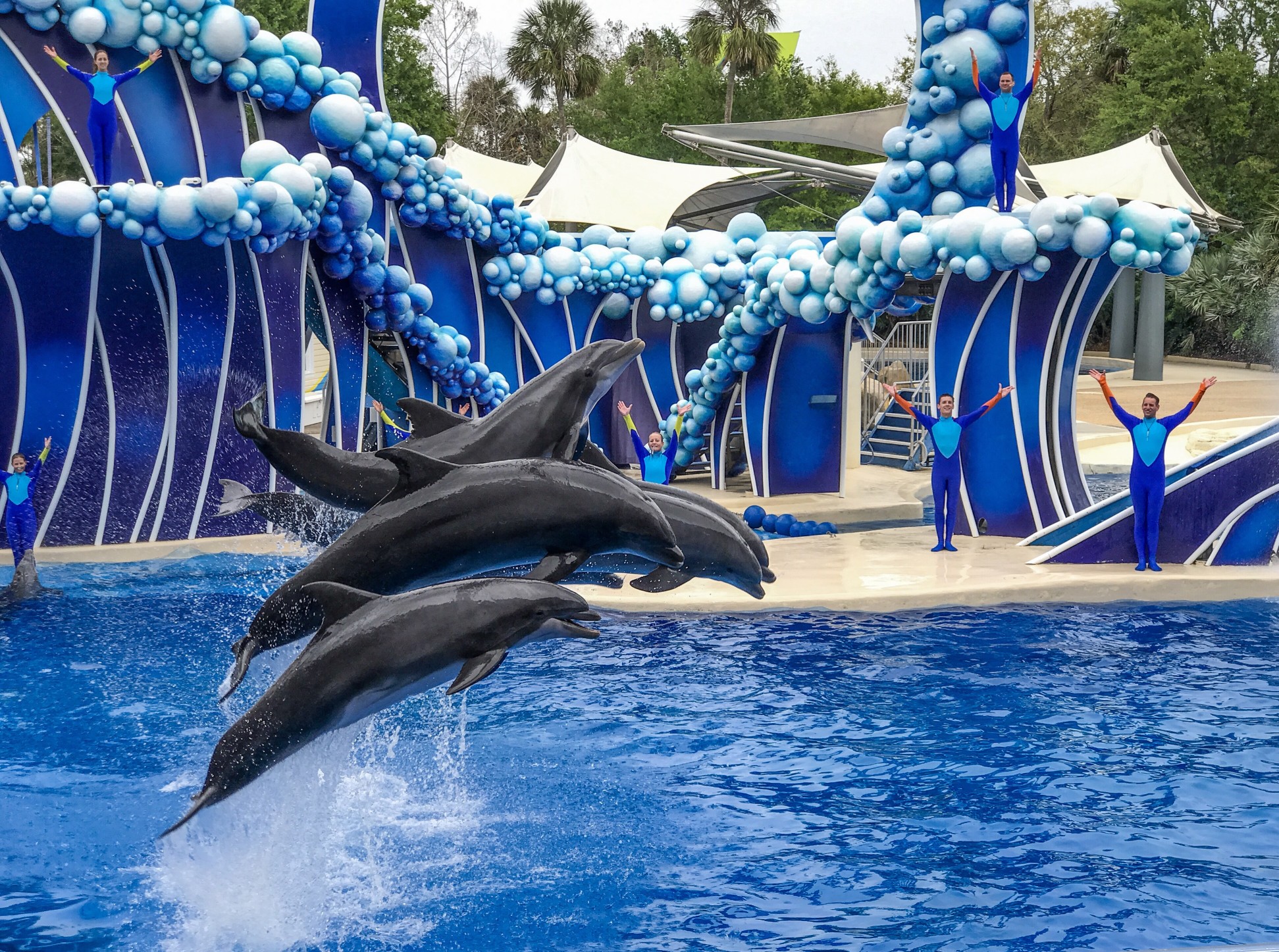 Family-Friendly Activities and Tips for Visiting SeaWorld Orlando - Seaworld And Busch Gardens Conservation Fund