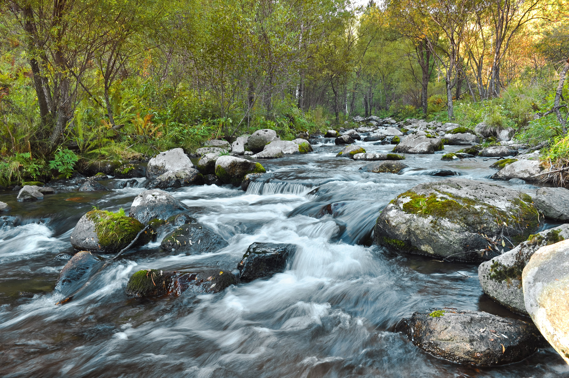 Fast Flowing River Free Stock Photo - Public Domain Pictures - River Ranch Water Park Day Pass
