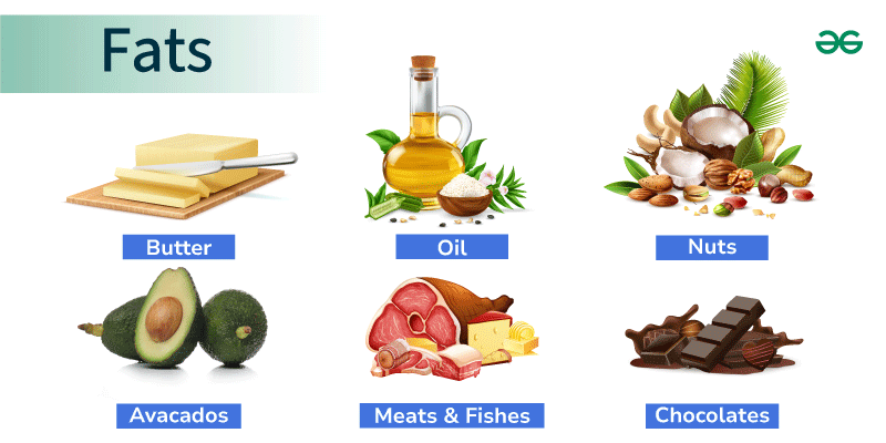 Fats - Types, Sources, and Importance of Fats - GeeksforGeeks - Fats Are Excellent Energy Storage Molecules Because