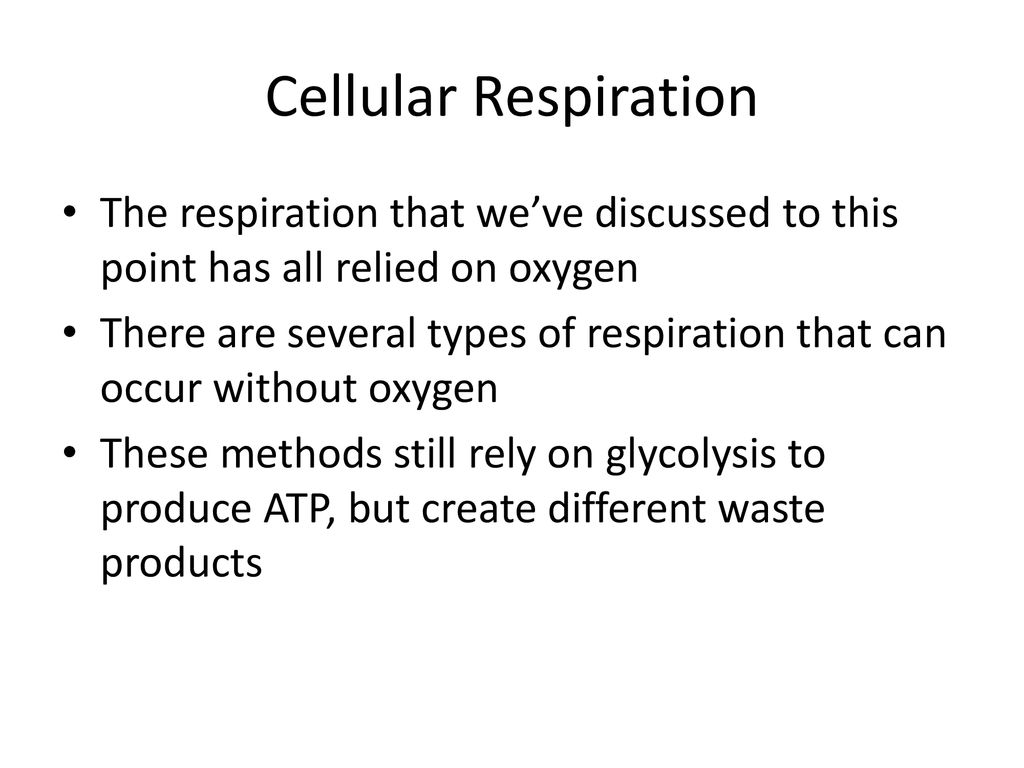 Fermentation. - ppt download - What Is Not A Product Of Cellular Respiration
