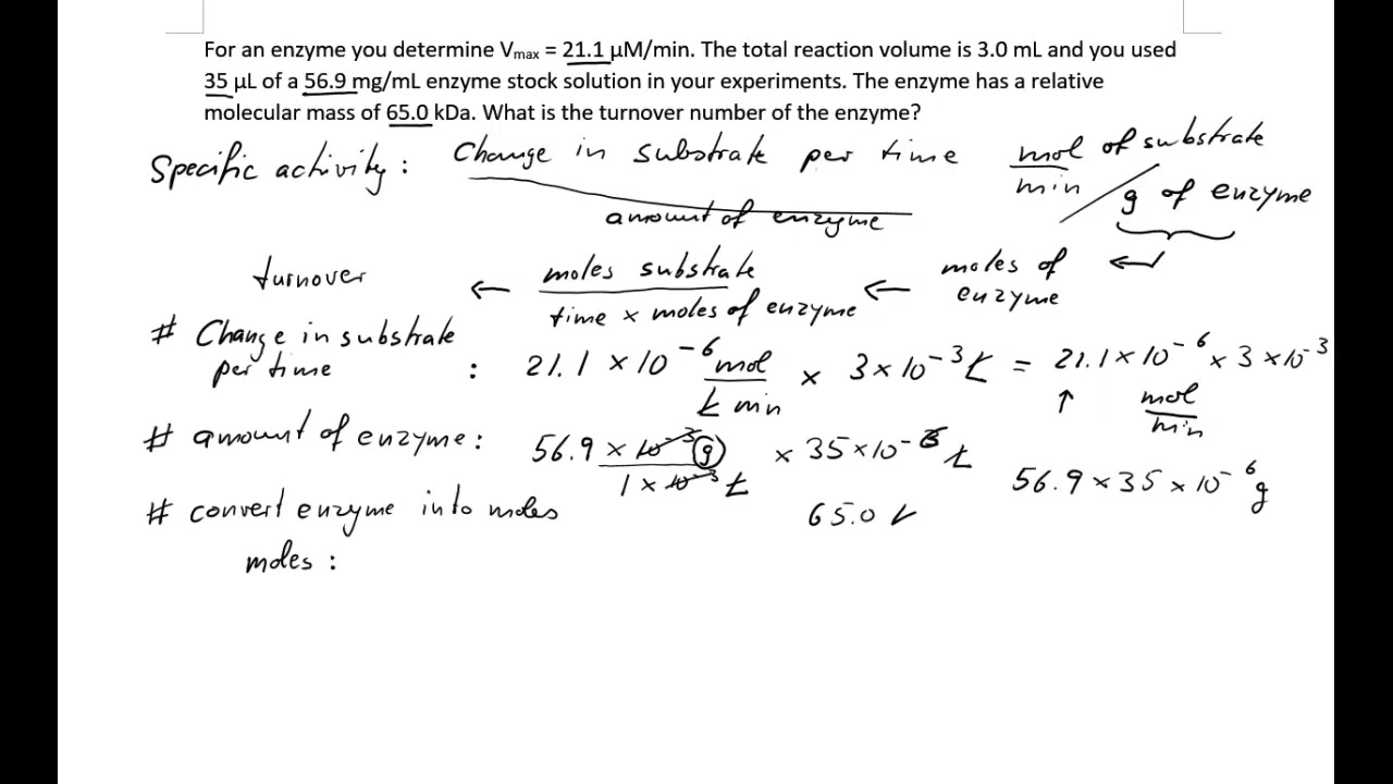 Finding the turnover number of an enzyme - YouTube - How To Calculate Turnover Number Of Enzyme