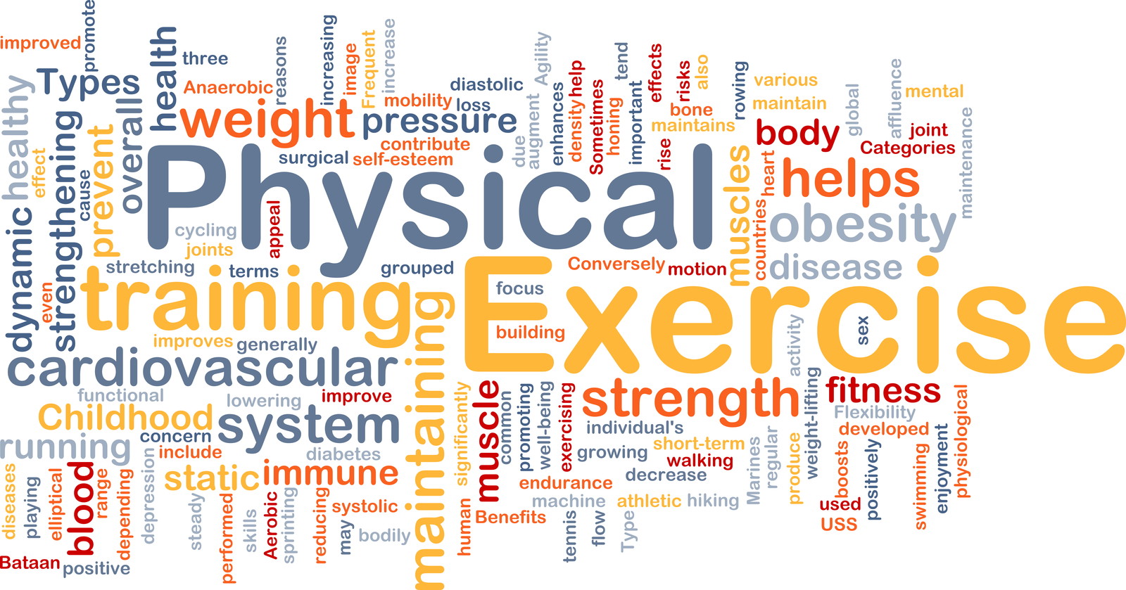 Fit n Healthy : 5 Components of Physical Fitness - Physical Security Program Is Designed To Prevent Unauthorized Access To