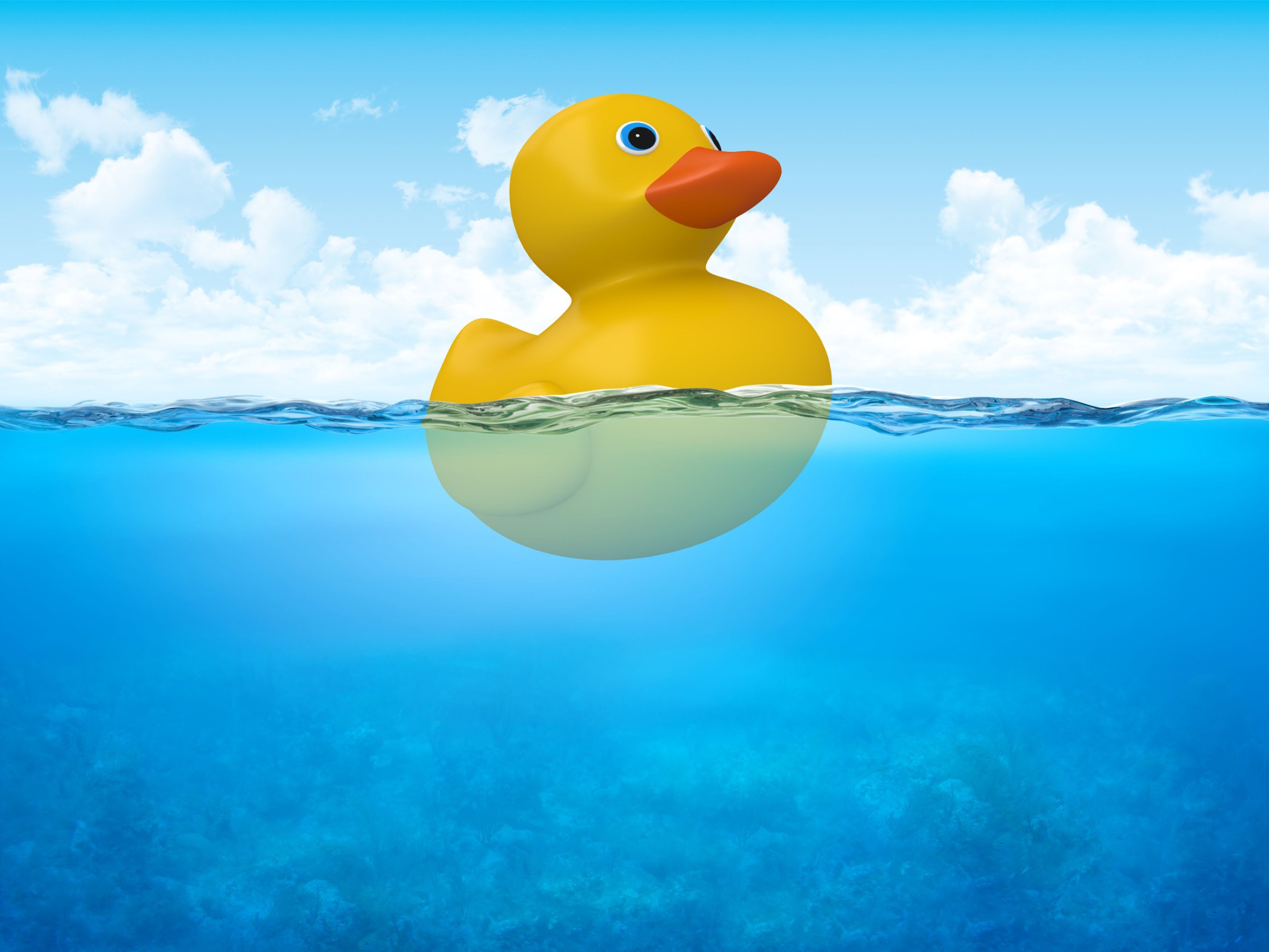 Float Duck | atelier-yuwa.ciao.jp - Float Spa San Diego San Diego Ca
