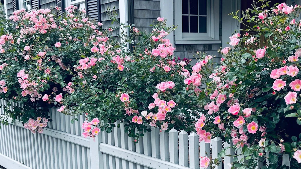 Forget Landscaping—This Simple Fence Upgrade Can Help Sell Your Home - Home Warranty Without 30 Day Waiting Period