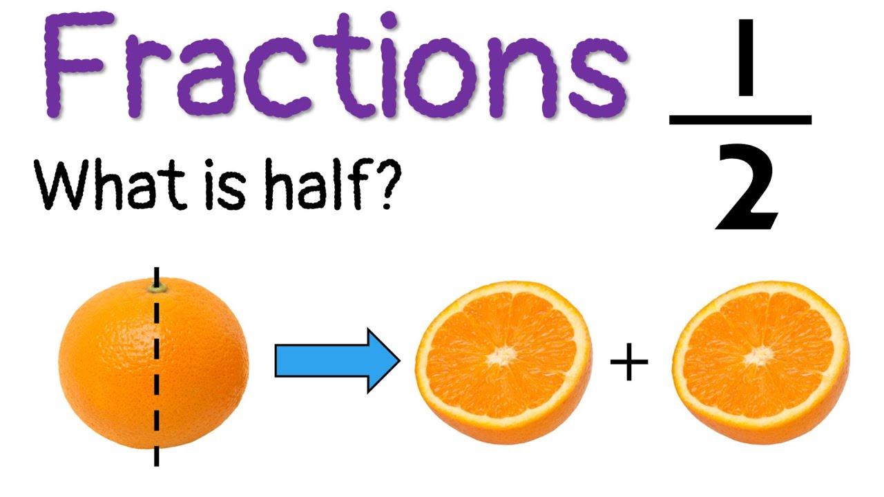 Fractions Year 1 - What is Half? Learn to Identify Fraction One Half - What Is Half Of A Quarter Of 400