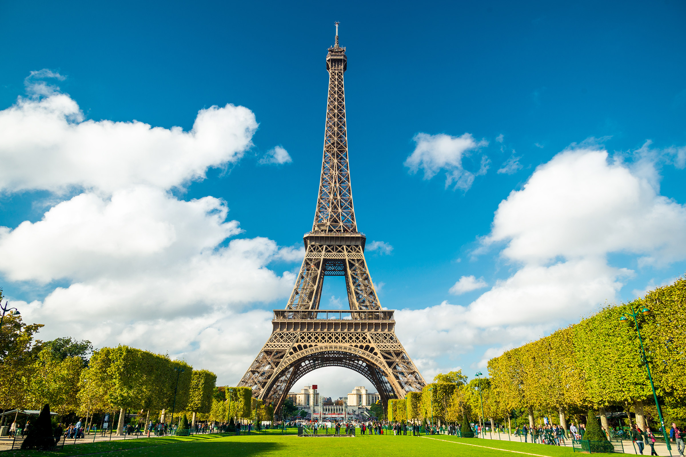 France Syringes Needles And Urinary Catheters Market