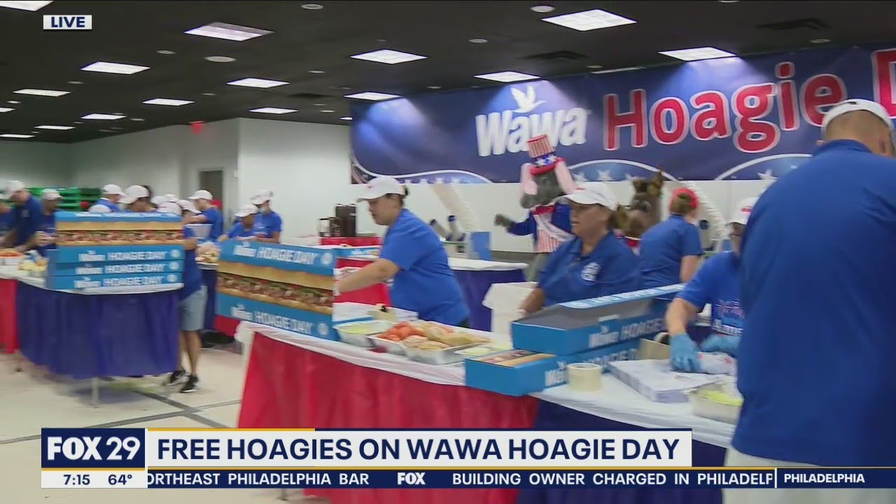 Free hoagies on Wawa Hoagie Day - YouTube - How Much Is A Hoagie Tray At Wawa With Prices