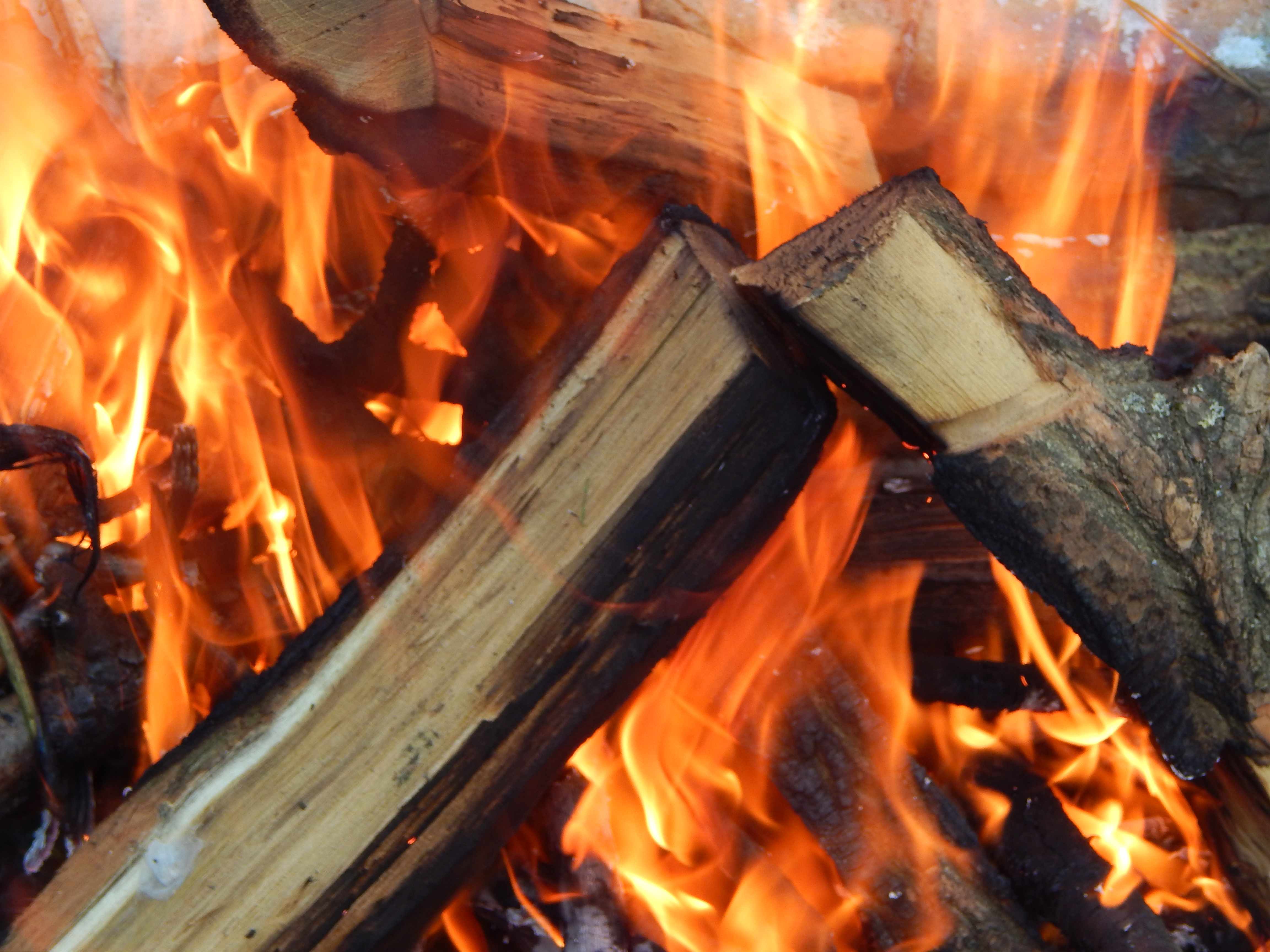 Burning Of Wood Chemical Or Physical Change