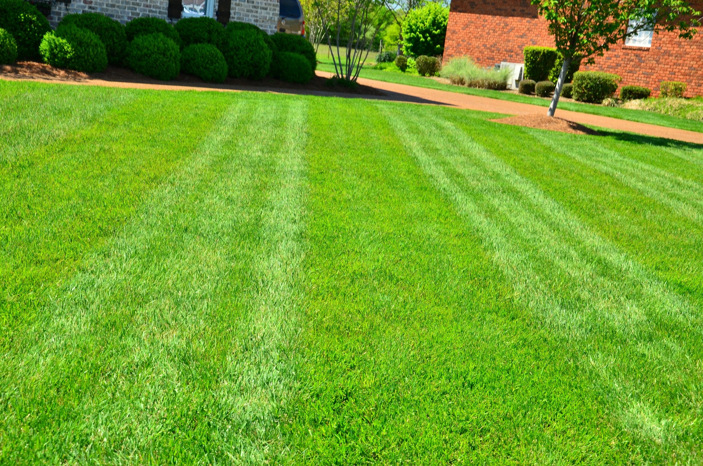 Lawn Mower And Weed Eater Combo