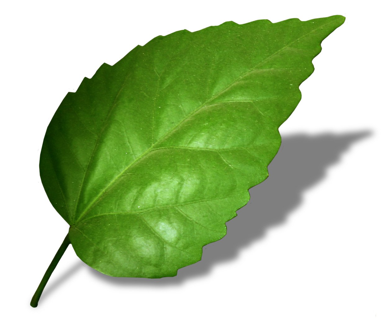 Leaf Home Water Solutions Reviews Consumer Reports