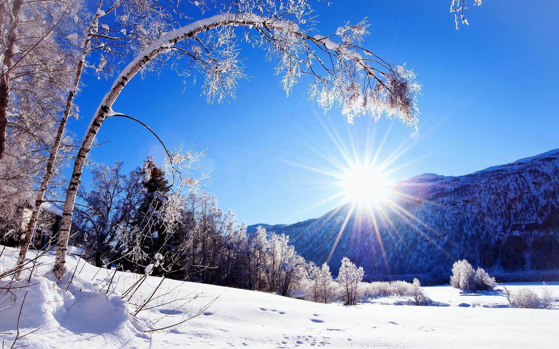 Free Winter Sun Wallpapers | PixelsTalk.Net - Winter Words That Start With O