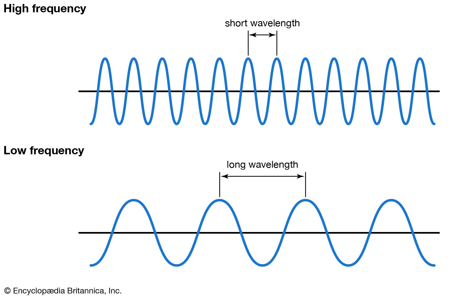 Frequency Calculator | Period to Frequency and More - Frequency Distribution Vs Relative Frequency Distribution