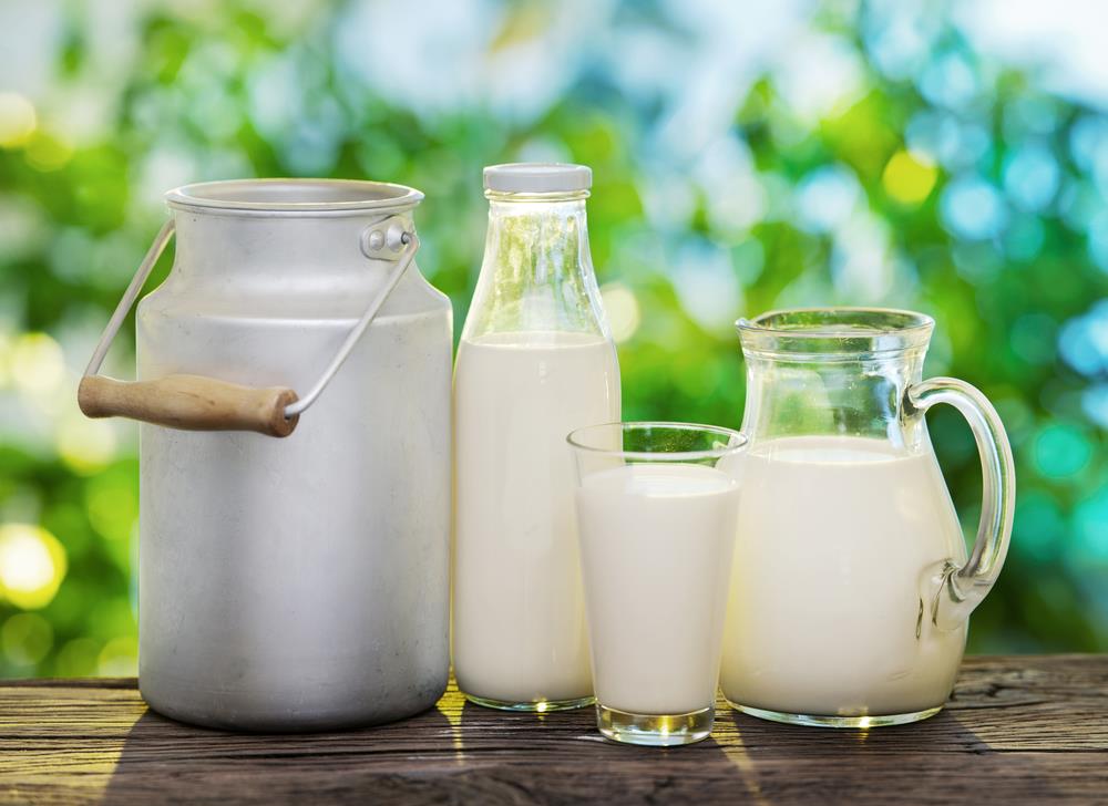 Fresh Milk | Rothes A dairy Farm - Milk Supply Dropping At 9 Months