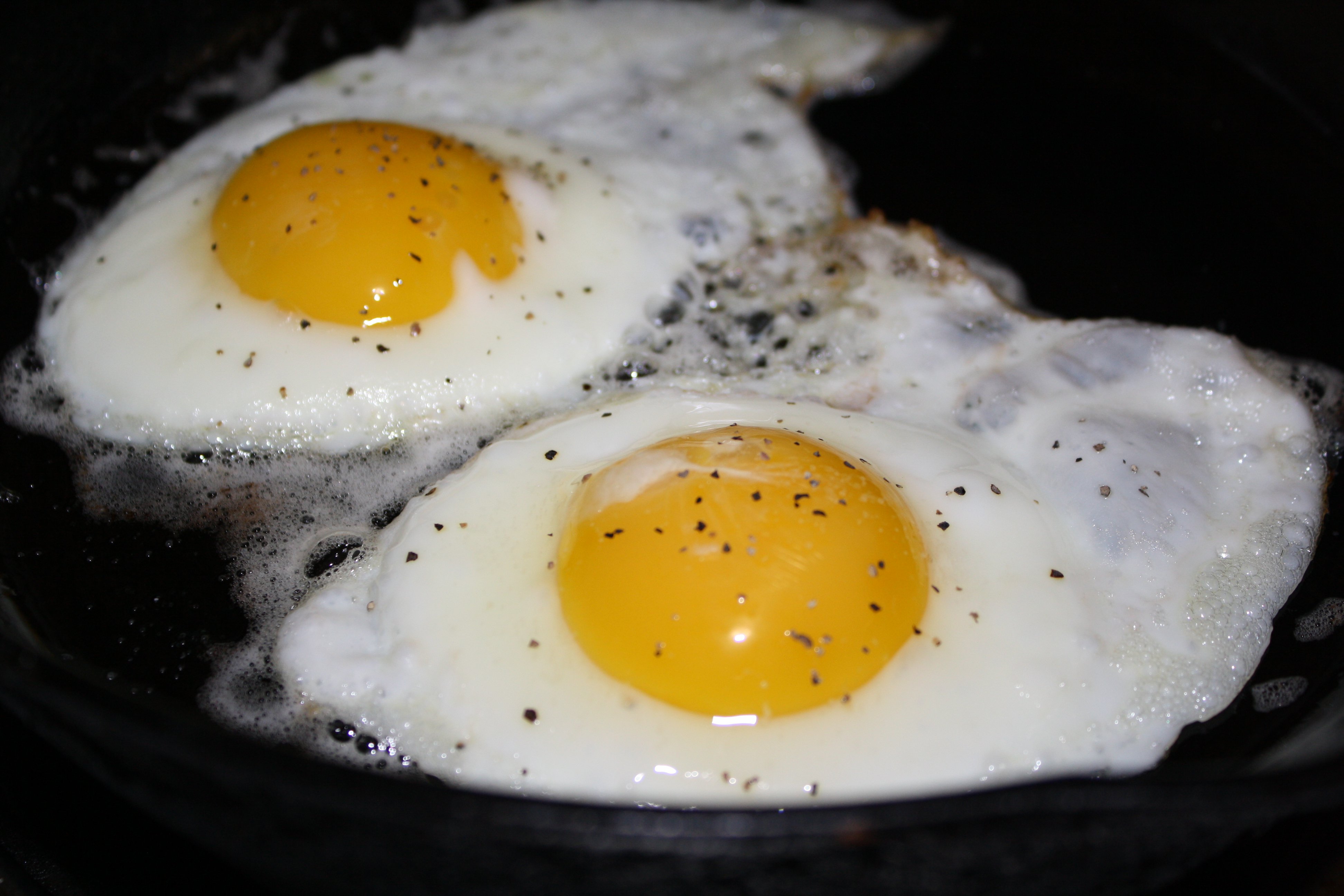 Fried Eggs Picture | Free Photograph | Photos Public Domain - Egg Incubator User Manual Pdf Free Download