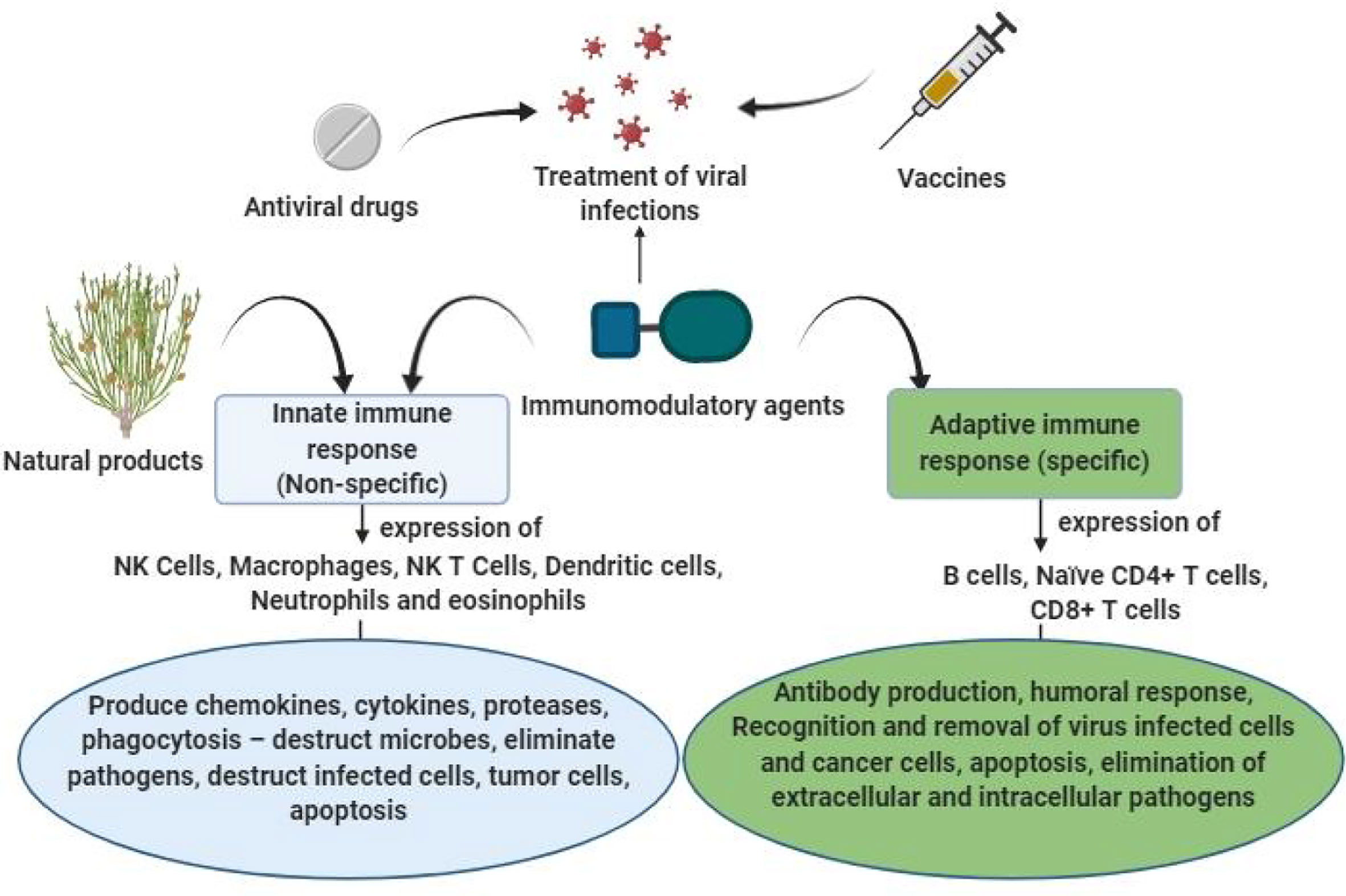 Frontiers | Medicinal Plants and Isolated Molecules Demonstrating - As Cognitive Load Increases Reaction Time