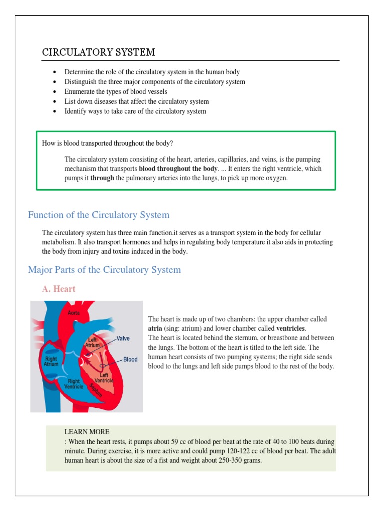 Function of The Circulatory System | PDF | Circulatory System | Blood - Choose All That Are Functions Of The Circulatory System