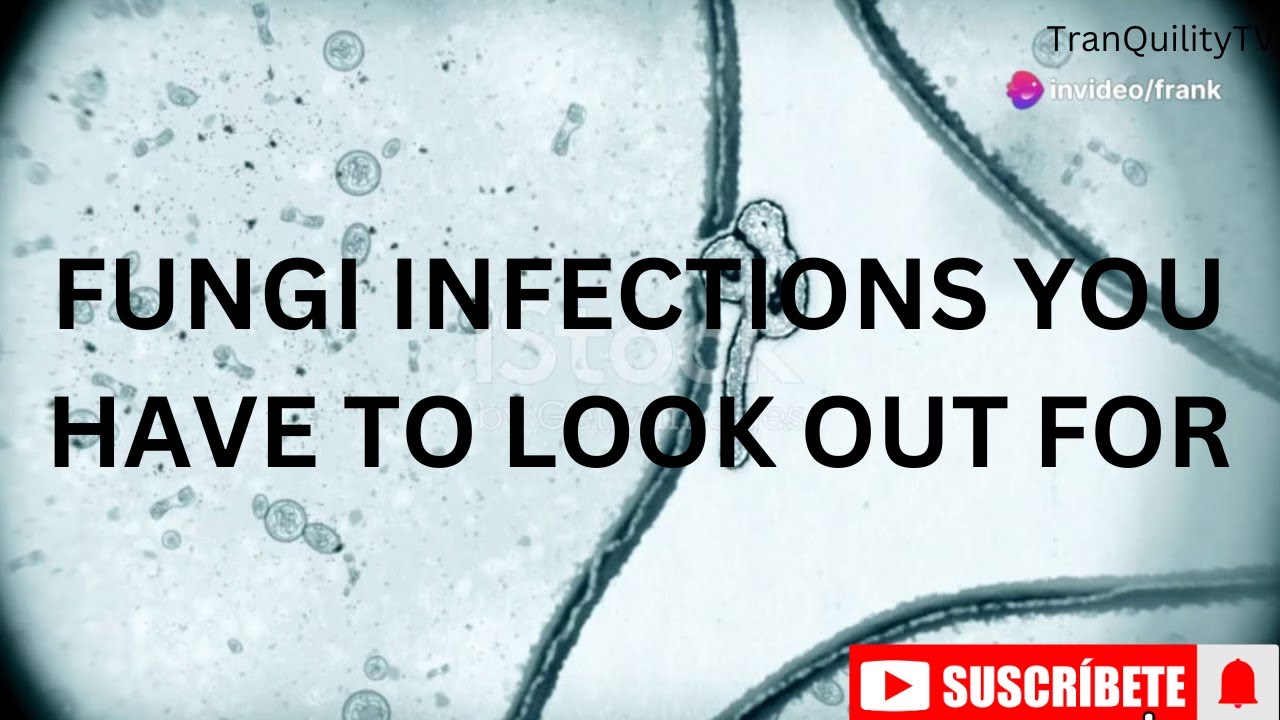 Fungal Infections Are Often Difficult To Treat Because Fungi