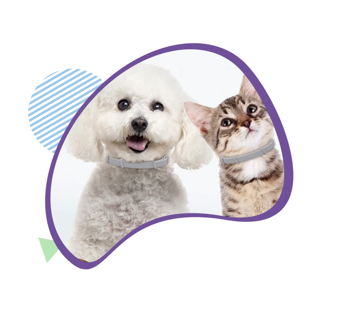 Fur Sweep Collar: 2024's #1 Pest Repelling Collar For Pets - Fur Sweep Flea Collar For Cats