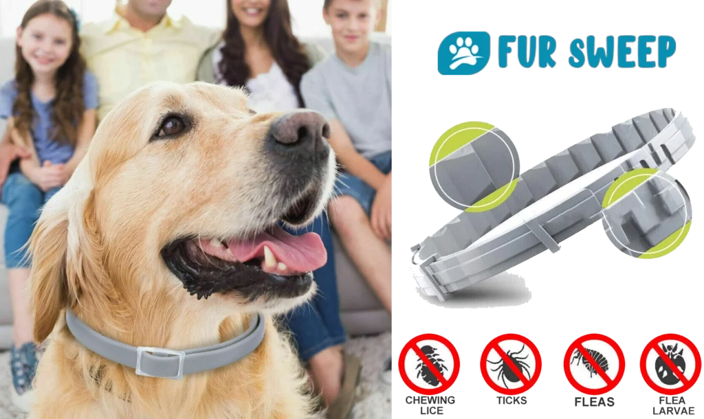 Fur Sweep Collar: Best Fleas & Ticks Repeller of 2024 - Fur Sweep Flea Collar For Cats