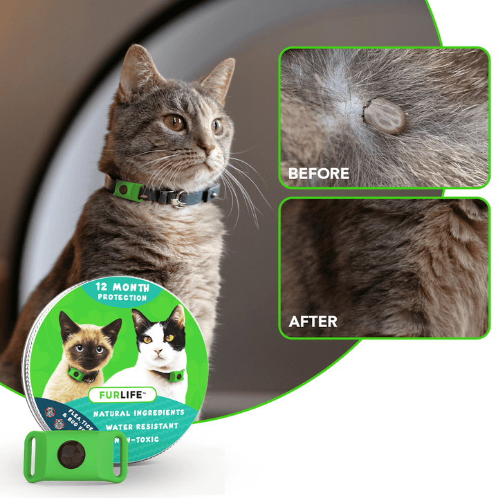 Fur Life Flea And Tick Reviews