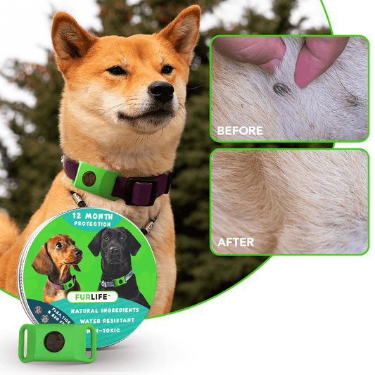 FurLife - Fur Life Flea And Tick Reviews