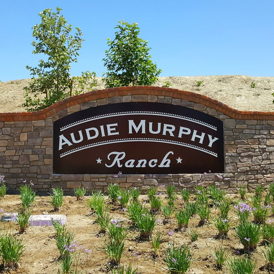 Audie Murphy Ranch Homes For Sale