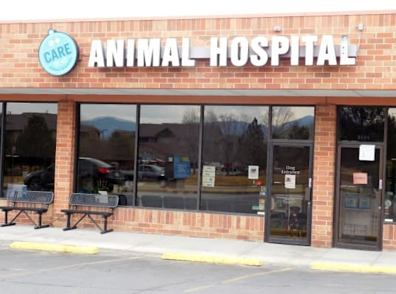 Gallery | Care Animal Hospital - Animal & Bird Health Care Center & Hospital