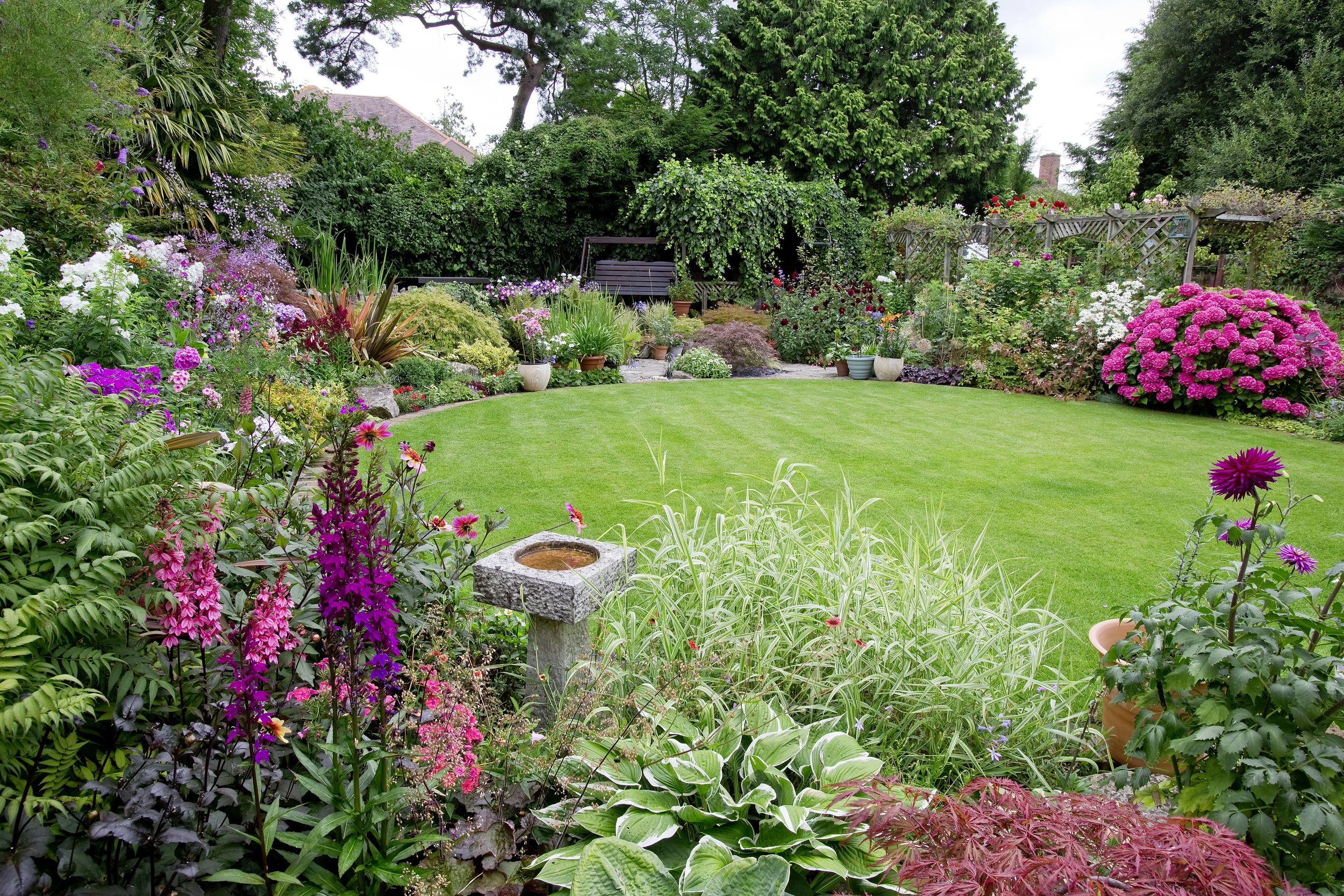 Garden of the Week — Garden News - Garden Of Life Feminine Ph Daily Care Reviews