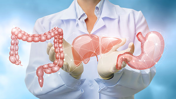 Gastroenterology - Southwell - Gastroenterology Ltd Of Virginia Beach Virginia Beach Va