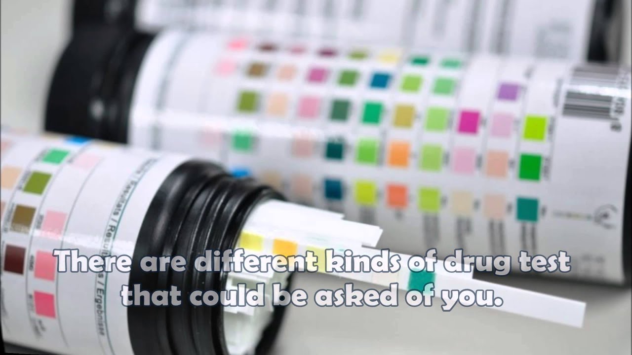 Get Your Urine Drug Test Now or Regret Later - YouTube - Failed Drug Test Because Of Urine Temperature