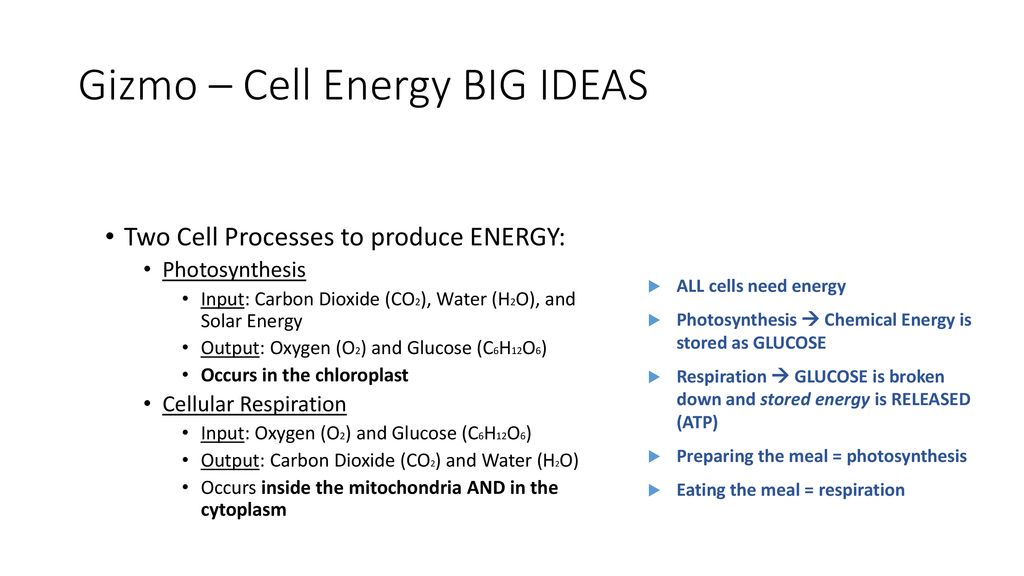 Cells Prefer To Use Carbohydrates As Energy Sources Because