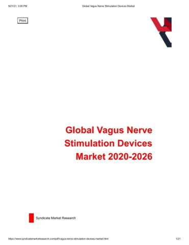 Vagus Nerve Stimulators Pipeline Product Market