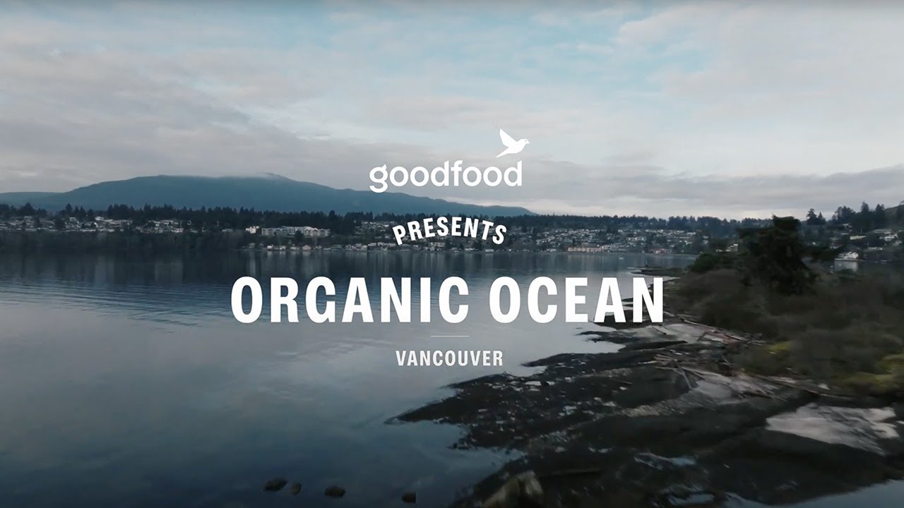 Goodfood x Organic Ocean - YouTube - Organic Ocean Reviews Complaints Consumer Reports