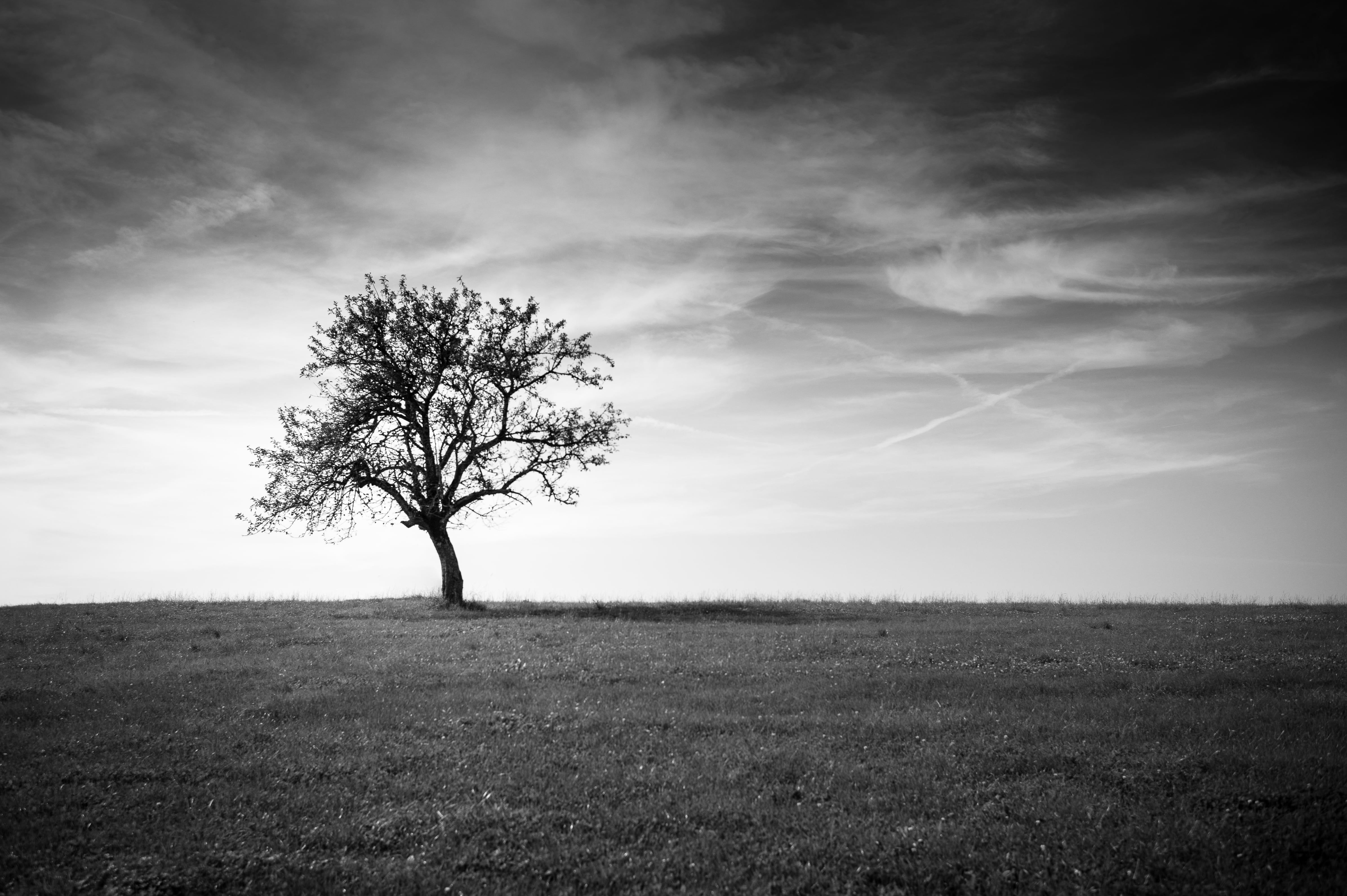 Grayscale Wallpapers - Wallpaper Cave - Grayscale Has Reopened Its Xrp Trust For Accredited Investors.