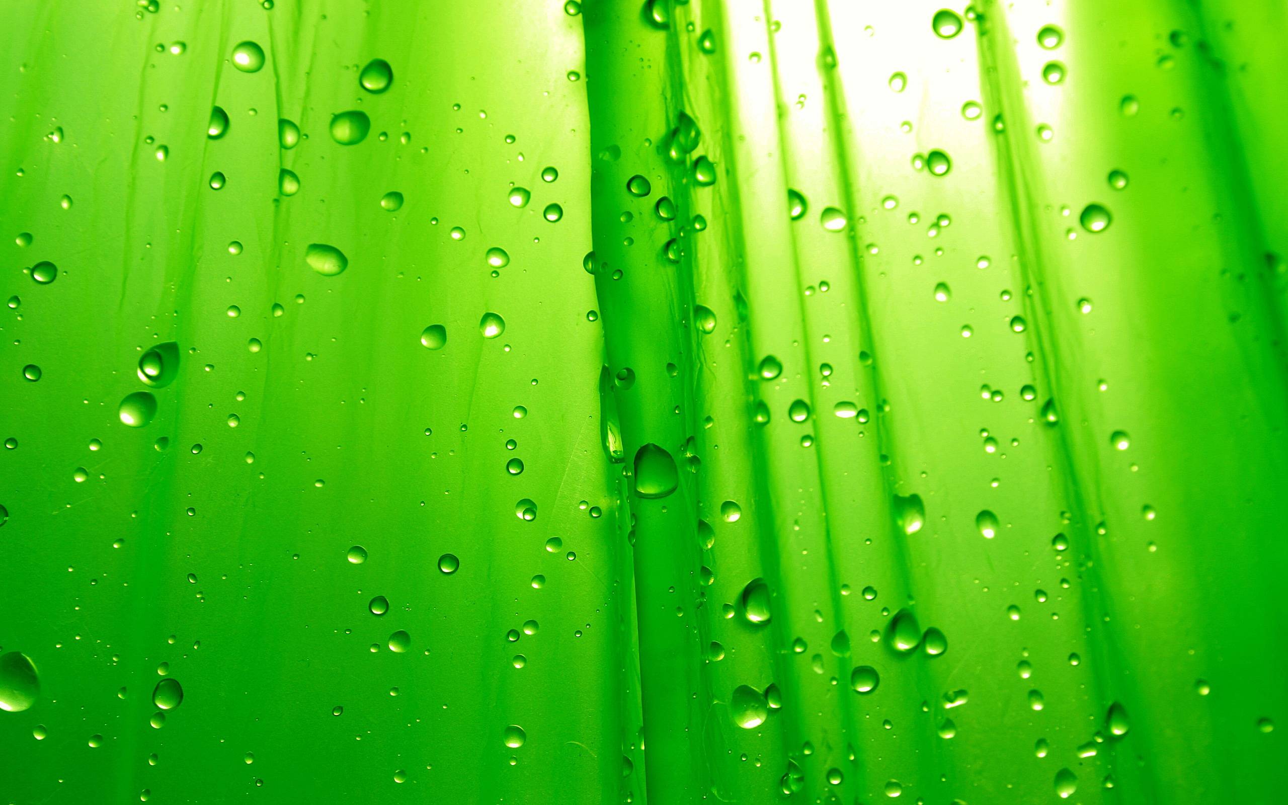 Green Color Wallpapers - Wallpaper Cave - Green Bay Packaging Inc - Arkansas Kraft Division