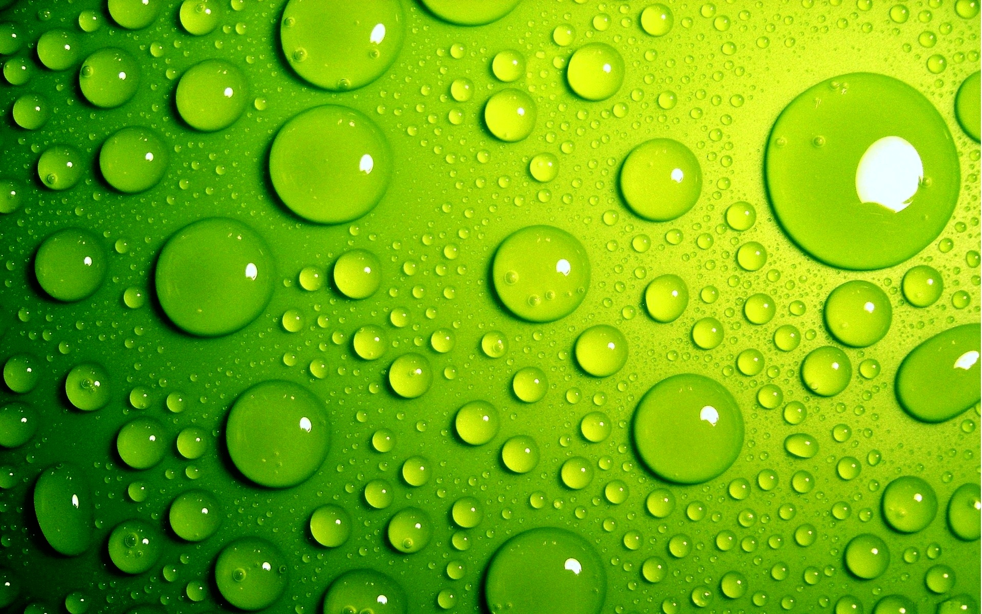 Green Bay Packaging Inc - Arkansas Kraft Division