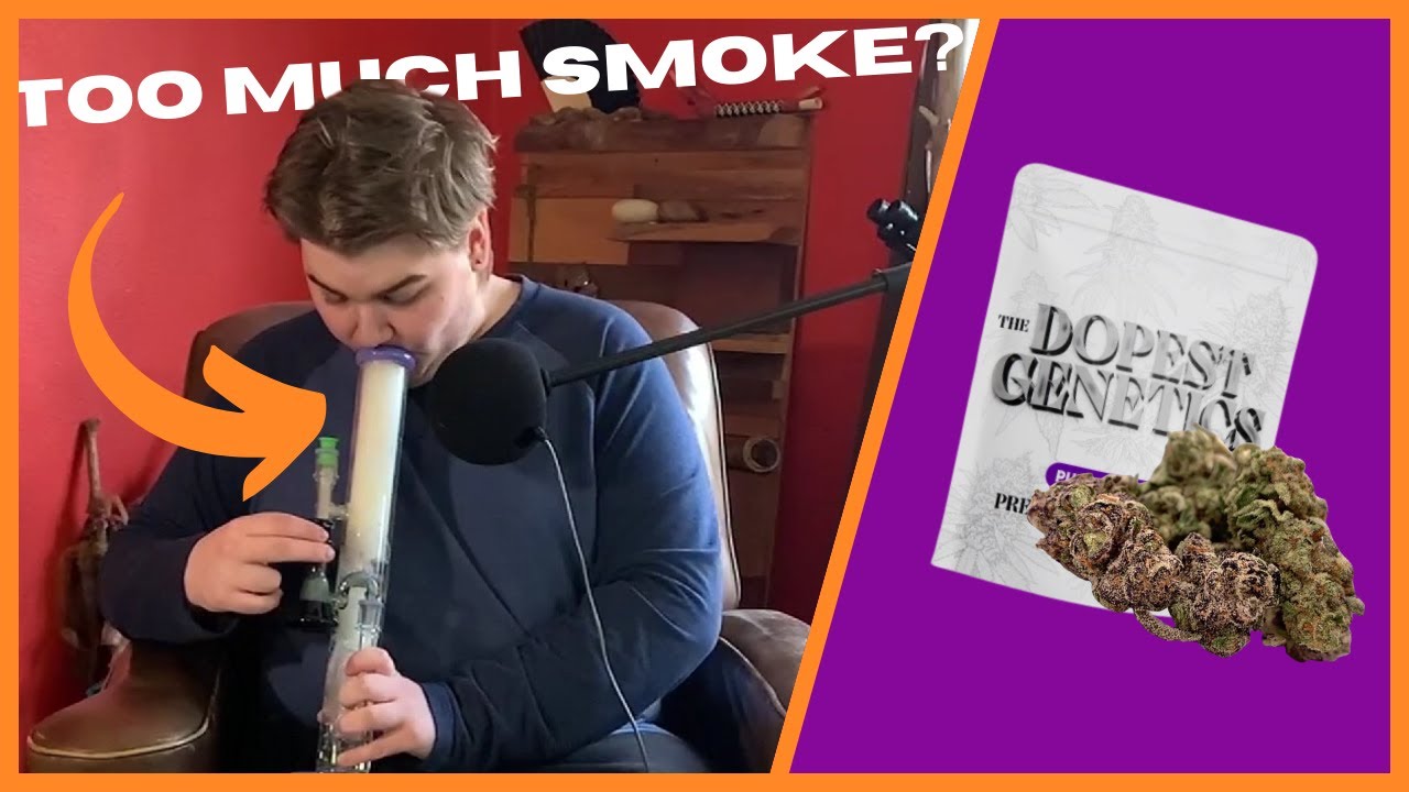 GREENING OUT AFTER SMOKING THE DOPEST THCA FLOWER!!! - YouTube - Does Thca Flower Get You High If You Smoke It
