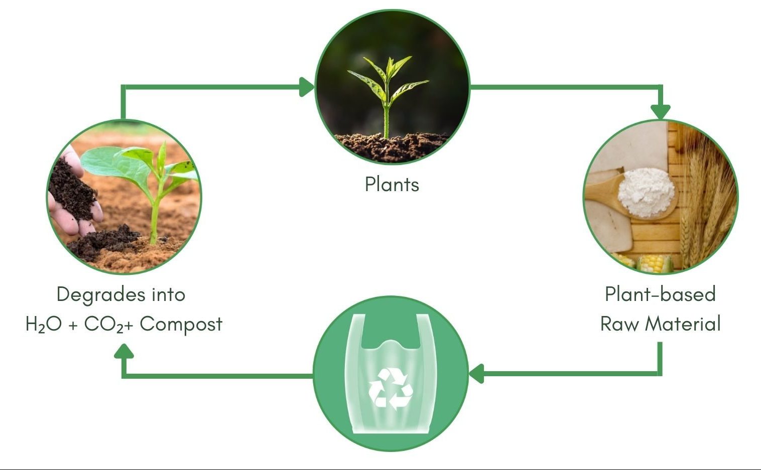 Biopolymers Are Made Of Green Materials That Are Generated By