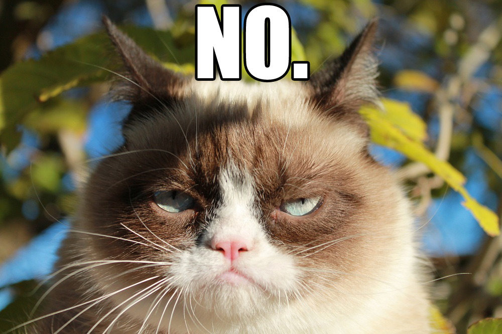 Grumpy Cat Saying No | Funny Collection World - No Man's Sky No Connection To Matchmaking Services