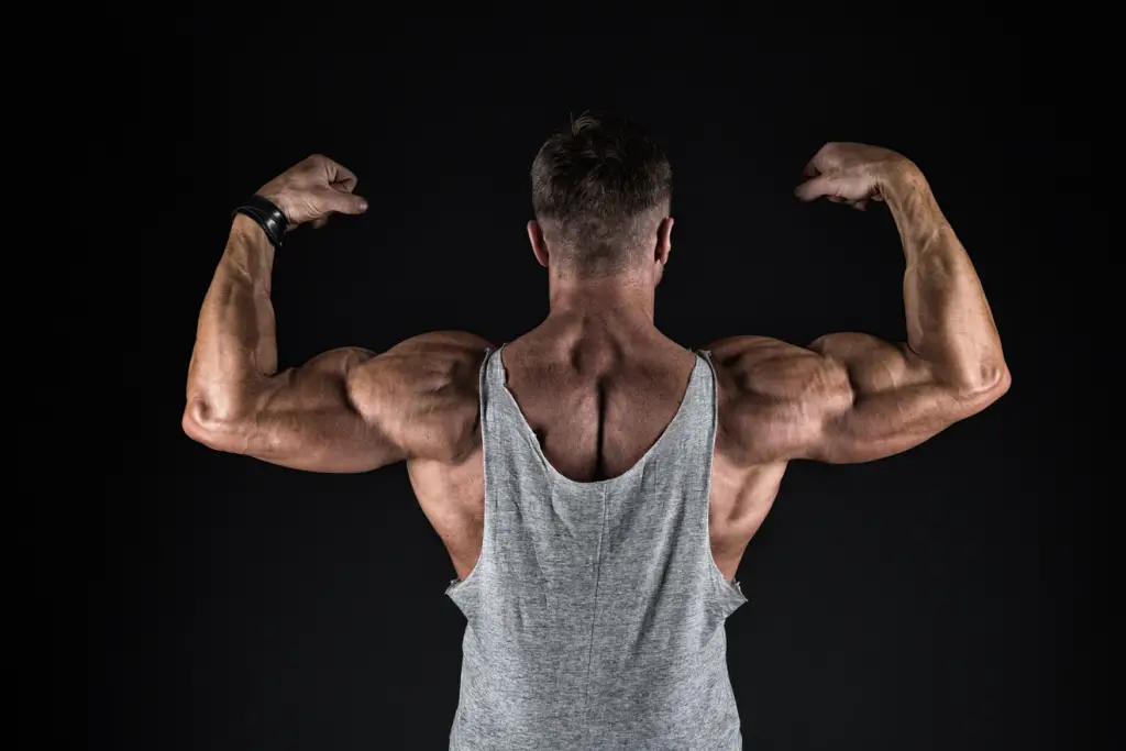Extensive Weight Training Causes The Muscle Cells To